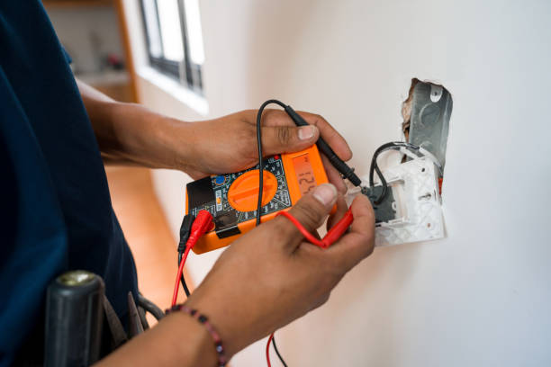 Best Electric Panel Repair  in Columbus, WI